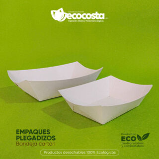 Platos biodegradables - Comercializadora ECOCOSTA SAS